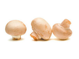 Medium Mushrooms